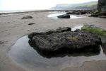 Filename=Tidal Pool at Runswick Bay.jpg
Filesize=189KB
Dimensions=1100x733
Date added=Oct 19, 2005 Tidal Pool at Runswick Bay.jpg