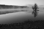 Filename=coniston morning mist 3.jpg
Filesize=255KB
Dimensions=1024x683
Date added=Nov 23, 2006 coniston morning mist 3.jpg