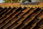 Filename=rainroof2.jpg
Filesize=272KB
Dimensions=1280x853
Date added=Nov 27, 2006 rainroof2.jpg