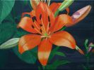 Filename=2007_1125_09x12_orange_lilly.jpg
Filesize=73KB
Dimensions=640x481
Date added=Nov 30, 2007 2007_1125_09x12_orange_lilly.jpg